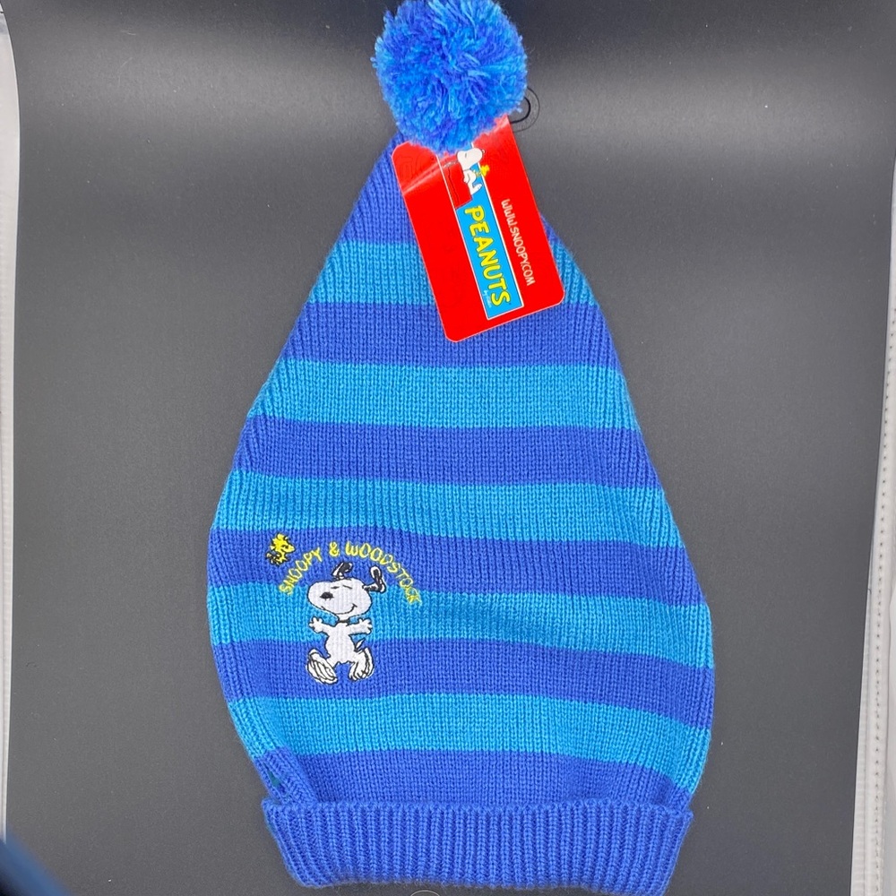 Peanuts Snoopy & Woodstock Striped Pom Beanie – Blue – NWT (2003)